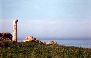 Calabria Internet e Web - Storia - Cultura - Tradizioni - Turismo - florense.it Web Site - Crotone: Capo Colonna - fotografia: Francesco Saverio ALESSIO